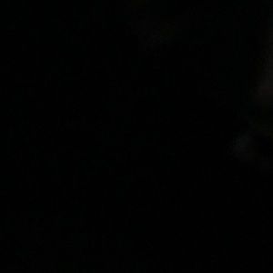 Meet your Posher, Braden